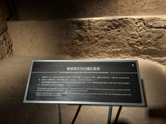 -秦始皇帝陵博物院-丽山园