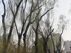 -迎泽公园