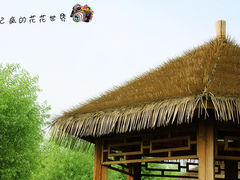 -呼兰河口湿地公园