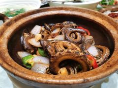 -台山第一家兴华黄鳝饭·黄鳝婆(开平店)