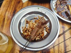 -杨记烤肉老店