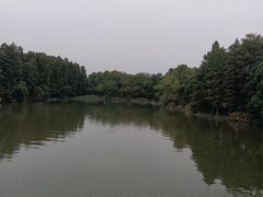 -东湖落雁景区