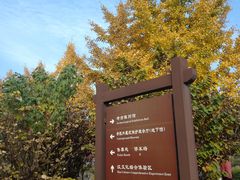 -汉景帝阳陵博物院