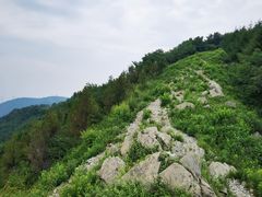 -阳台山自然风景区
