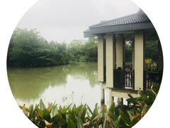 景观位-太极禅苑