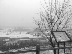 -汉长安城未央宫国家考古遗址公园