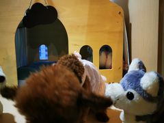 -Husky Go! 哈士奇体验馆·宠物咖啡厅狗咖