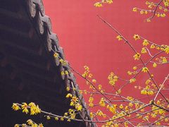 -钱王祠