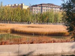 -党河风情线国家水利风景区