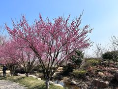 -茅山东方盐湖城景区