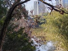 -水绘园