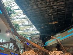 -安徽省地质博物馆