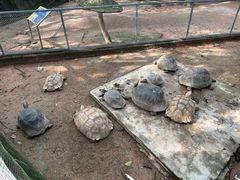 -广东茂名森林公园