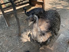 -昆明动物园