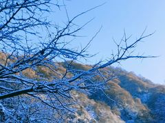 -秦岭风景区