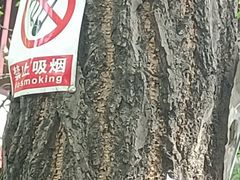 -香园自助小火锅