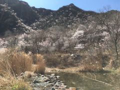 -碓臼峪自然风景区