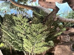 -陕西自然博物馆