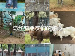 -秦皇岛野生动物园