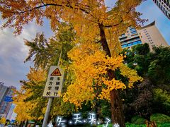 -四川大学(华西校区)