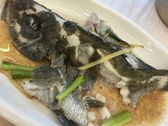 -渔中舟海鲜大排档(普陀沈家门店)