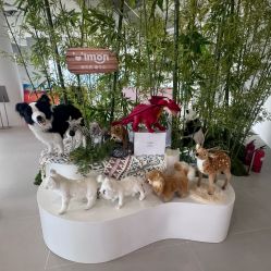 -IMON·HANSA潮玩玩偶毛绒玩具(通州万象汇店)