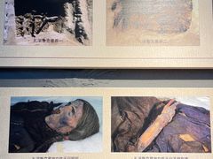 -巴音郭楞蒙古自治州博物馆