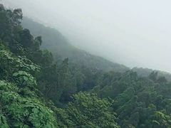 -火炉山森林公园