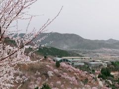 -北京西山国家森林公园