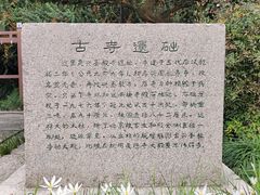 -上海方塔园