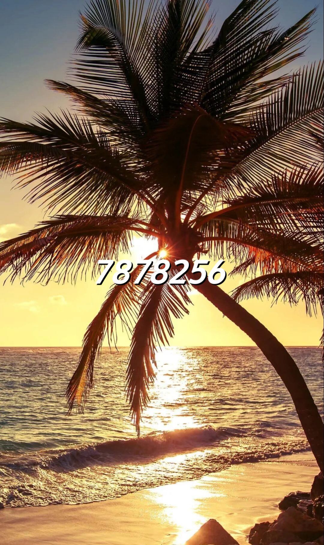 全新星力十代什么是人生,7878256