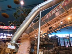 -卡通尼·Safari非洲探索乐园·生日会(金桥国际商业广场店)