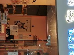 -三花喵·撸猫购宠·宠物生活馆(虹桥南丰城店)