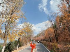 -青藏高原野生动物园