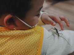 -上海昆虫博物馆