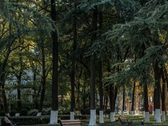 -安徽大学(磬苑校区)