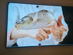 -阿五黄河大鲤鱼(英协路店)