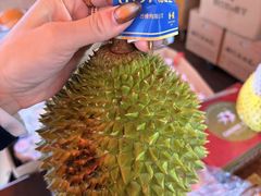 -油麻地果栏