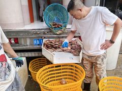 -海峡水产品交易中心(海鲜交易区)