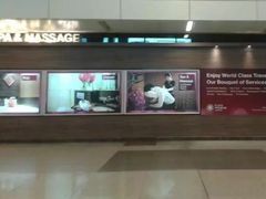 -英迪拉·甘地国际机场