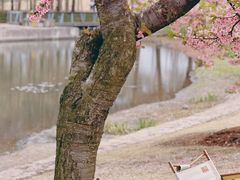 -上海辰山植物园