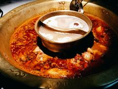 -新哥老官·畅吃123·美蛙世界(苏宁广场店)