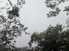 -紫金山山顶公园