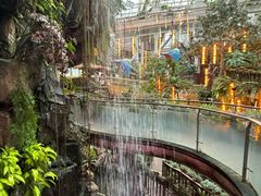 -正佳雨林生态植物园
