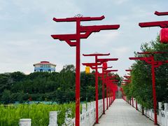 -青龙湖公园