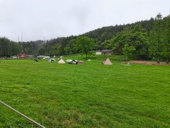 -武陵山森林公园