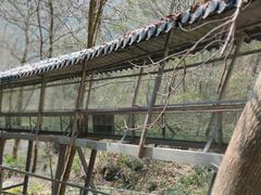 -丹山赤水风景名胜区