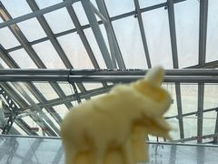 -天津自然博物馆