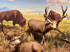 -陕西自然博物馆