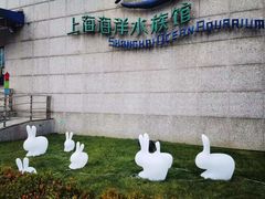 -上海海洋水族馆